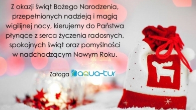 Sprawdź jak pracujemy w okresie Świąt Bożego Narodzenia i Nowego ROku!